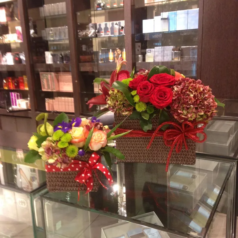 Experiencia que Eleva el Estándar