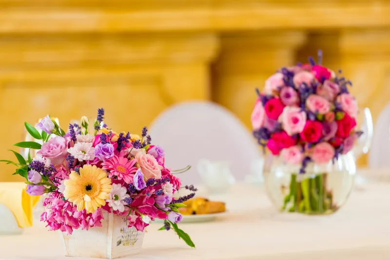 Diseño que Favorece la Conversación