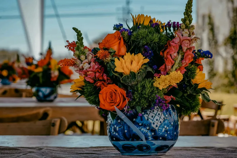 Selección de Recipientes como Pieza de Diseño